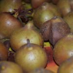Bletting medlars