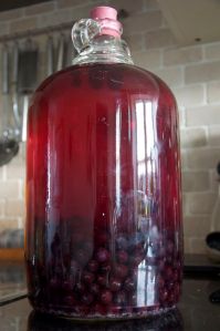 Sloe Gin maturing in demijohn