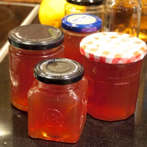 Medlar jellies