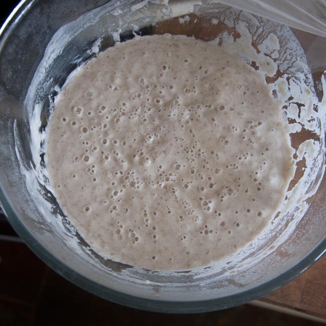 Overnight sponge, in the morning