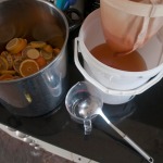 Straining the cordial