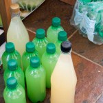 Bottled elderflower champagne