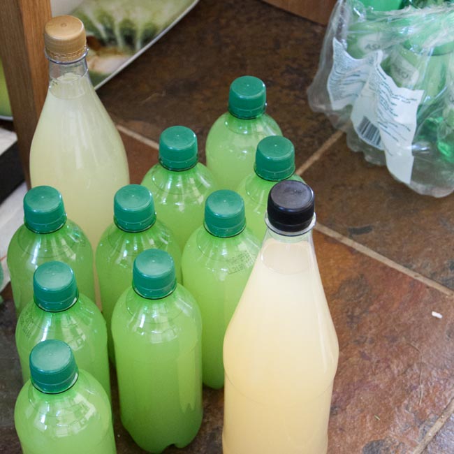 Bottled elderflower champagne