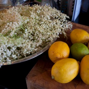 Elderflowers and citrus fruit
