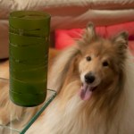 Dave with vase Dave with vase