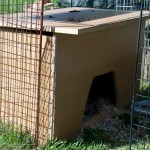 New, improved 'contraption 2'