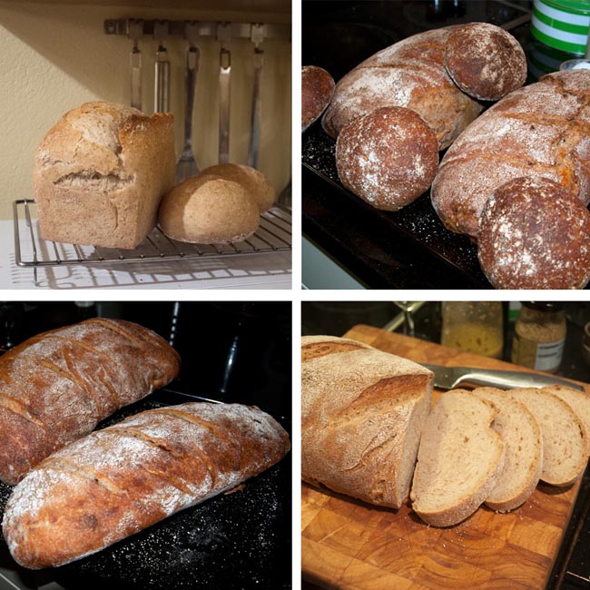 Sourdough loaf selection