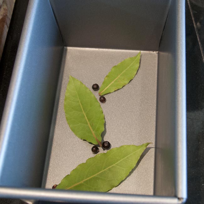 Bay leaves & juniper berries