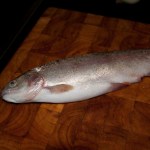 Whole rainbow trout