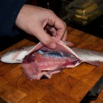 Gutting fish