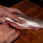 Remove abdominal contents