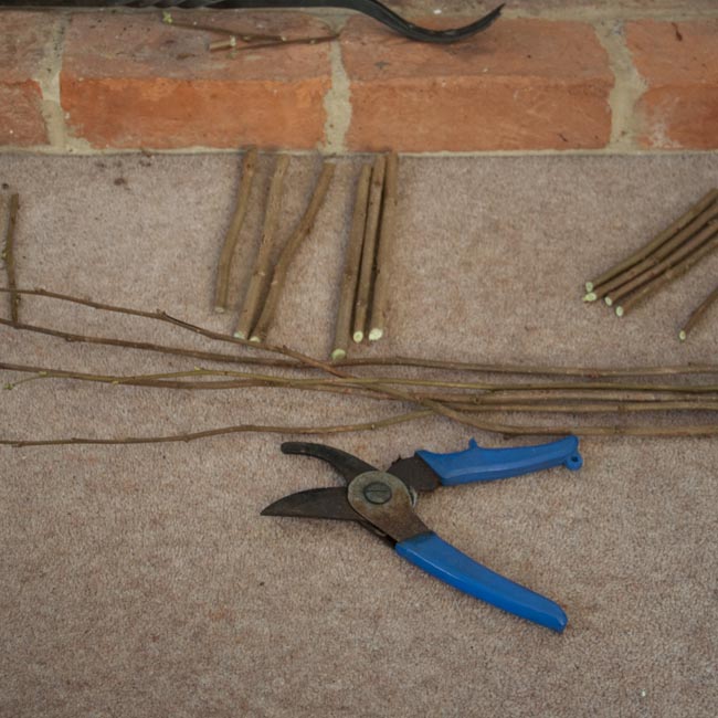 Preparing your twigs