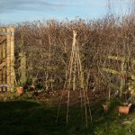 Form into teepee shape