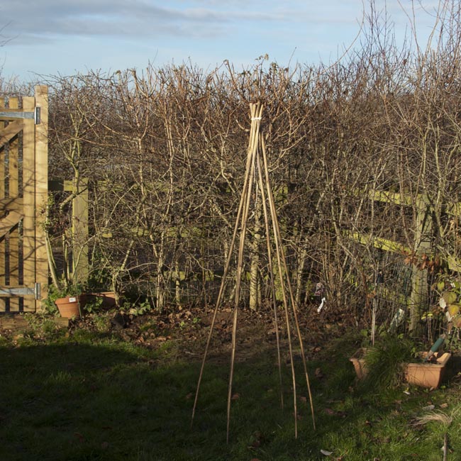 Form into teepee shape