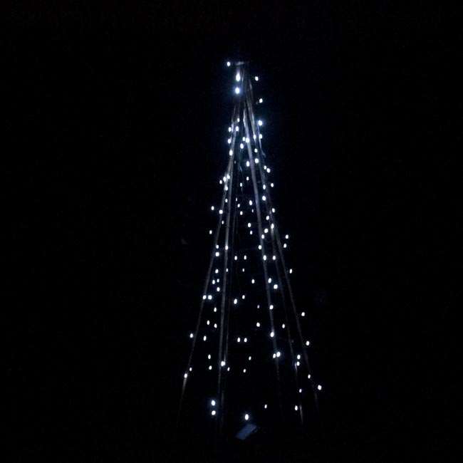 Light Tree