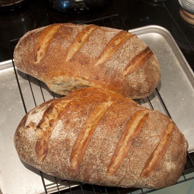 christmas sourdough