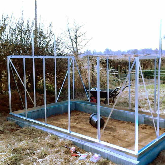 Out of the ground at last