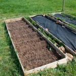 Vegetable beds