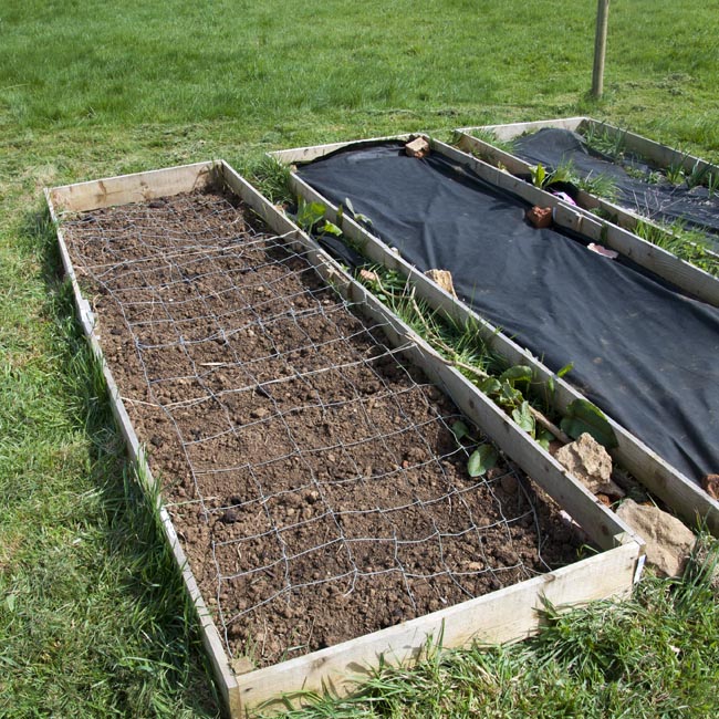 Vegetable beds