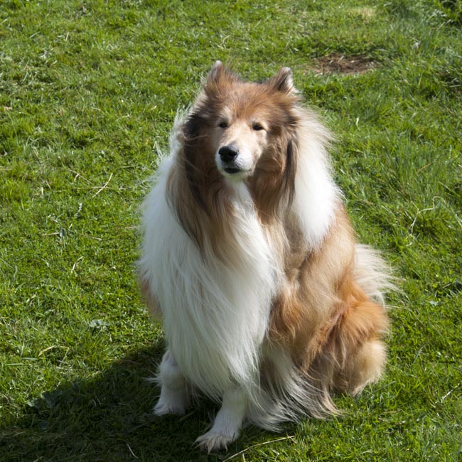 Dave enjoying the sunshine