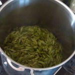 Simmering the ash keys