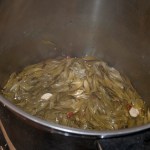 Ash keys in spiced vinegar with garlic and chillies