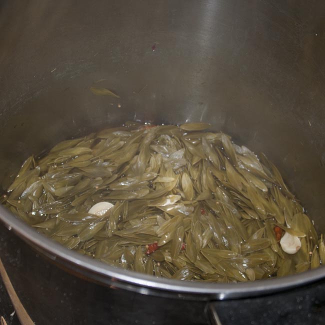 Ash keys in spiced vinegar with garlic and chillies