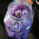 Put the flowers into your jar