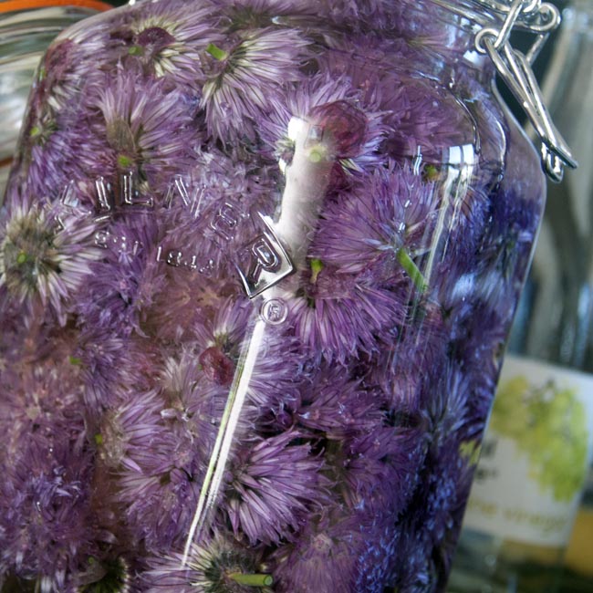 Infusing in kilner jar