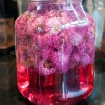 Look at this amazing colour!