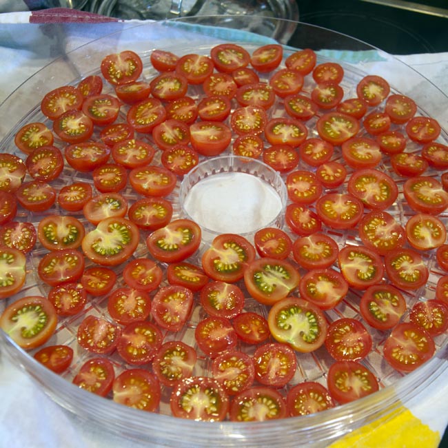 Arrange halved tomatoes on trays