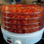 Stacked up in dehydrator