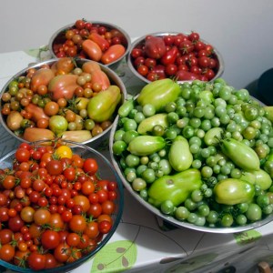 Now that's what you call a glut!