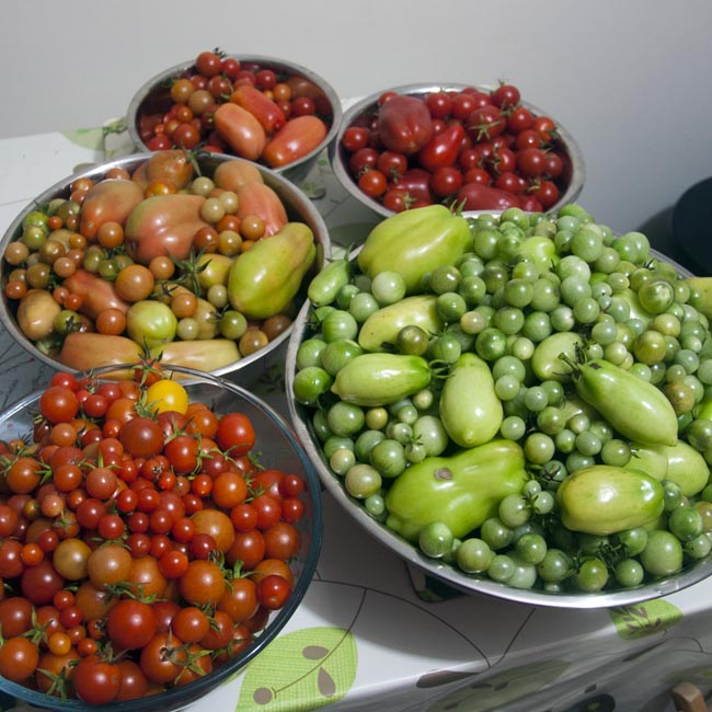 Now that's what you call a glut!