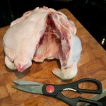 Cut from parson's nose towards neck end