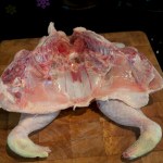 With backbone removed