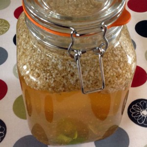 Place in a warm place, shake occasionally