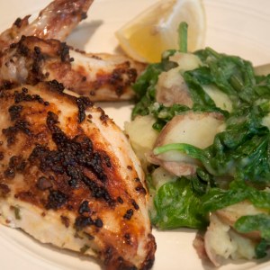 Mustard and rosemary chicken - serve