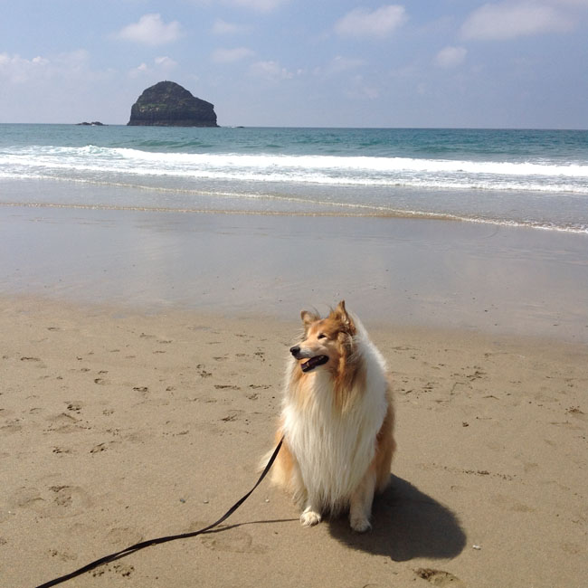 What it's all about!