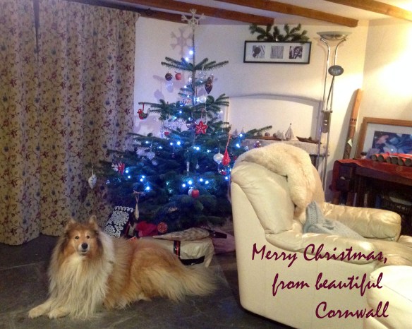 Merry Christmas 2014!