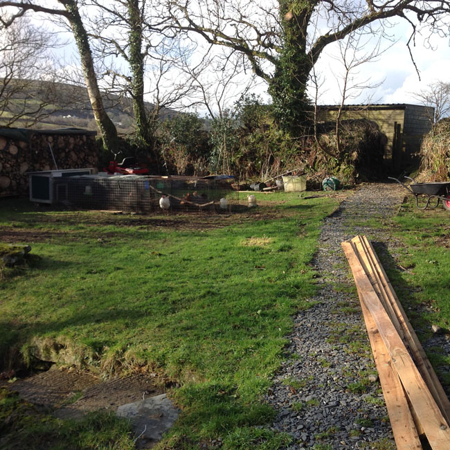 The hens nicely settled