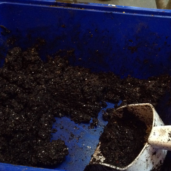 Wetted soil block mix