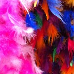 Feather Boa