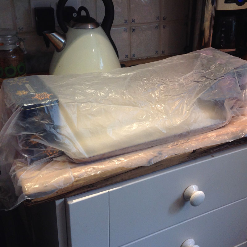 Cover and allow to rise