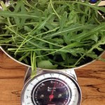 Washed & dried rocket