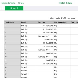 Egg recording spreadsheet