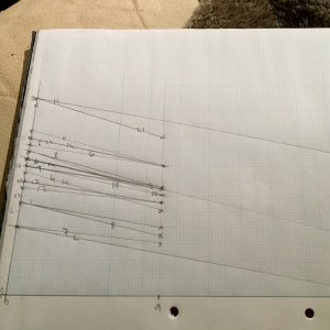 Egg hatching weight loss graph
