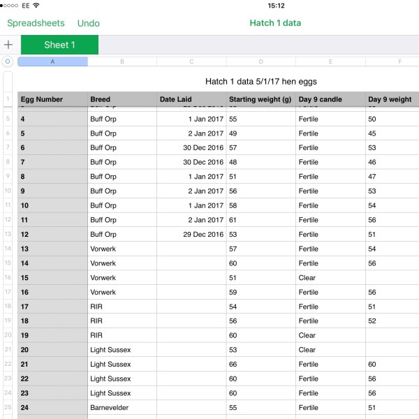 Egg recording spreadsheet 2