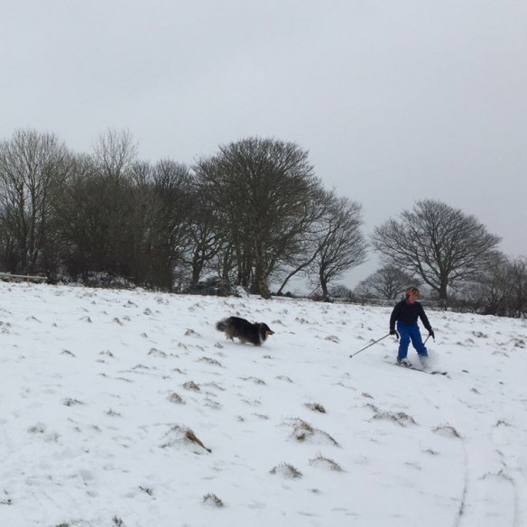 Skiing in Cornwall!