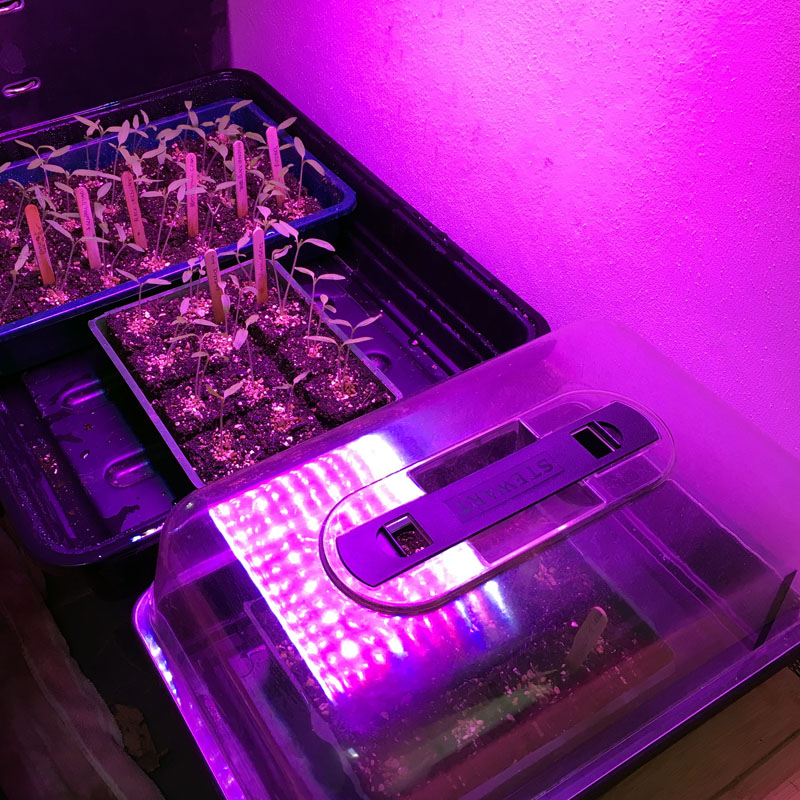 Soil blocks for growing